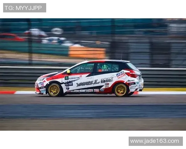 上海排球队征战洲际杯的拼搏历程与荣耀时刻回顾 上海排球队征战洲际杯的拼搏历程与荣耀时刻回顾