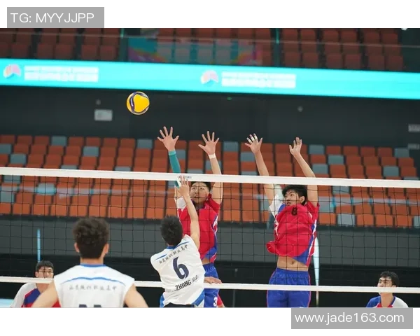 排球盛宴：深入了解西安排球队的实力与魅力