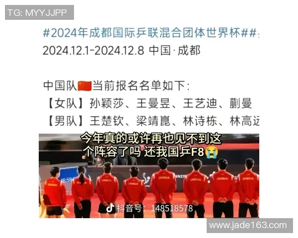 成都乒乓球队在世界杯中的战术运用与表现分析