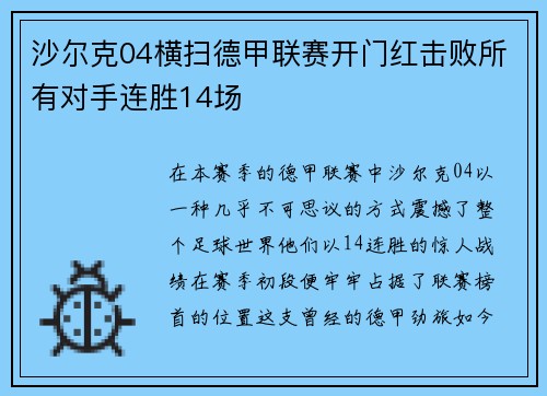 沙尔克04横扫德甲联赛开门红击败所有对手连胜14场
